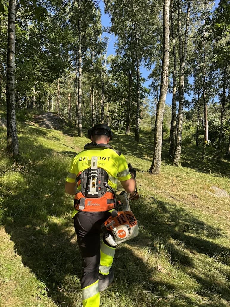 Medarbetare från Belmont röjer grönyta med röjsax i ett skogsparti.